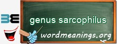 WordMeaning blackboard for genus sarcophilus